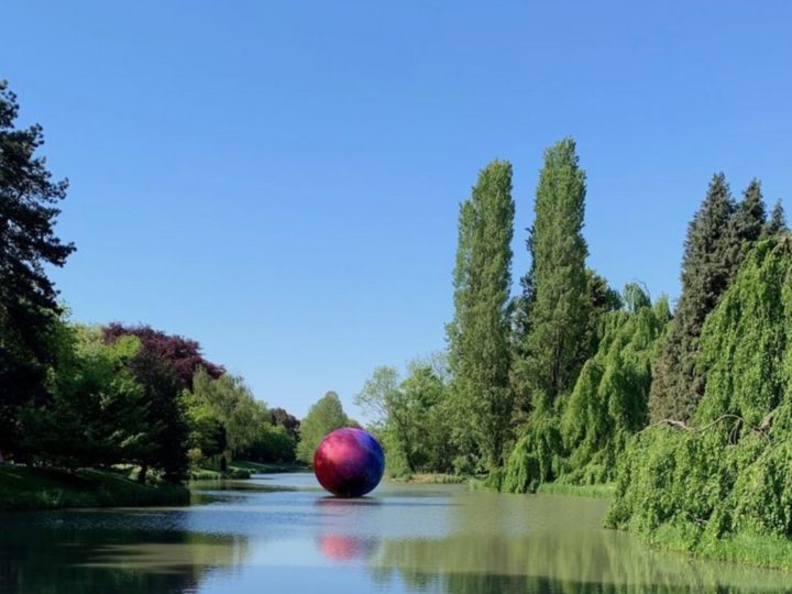 Out / Michel Eugène > Elsa Tomkowiak, 2019