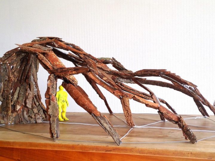 Mémoire d’arbre > Yuhsin U Chang, 2019