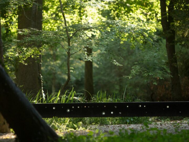 Jardin de la Paix franco-allemand – « Le Jardin du troisième train », 2018