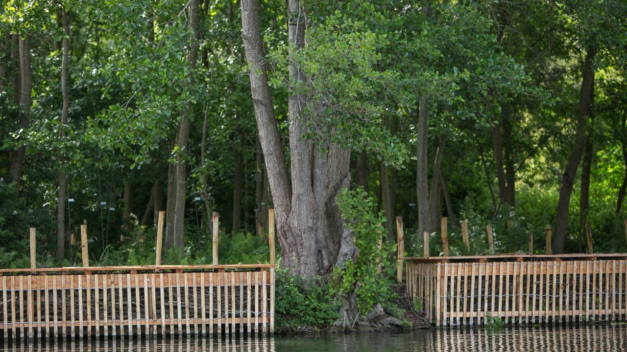 Cloture Bois Jardin - Lame Bois - Bois Expo