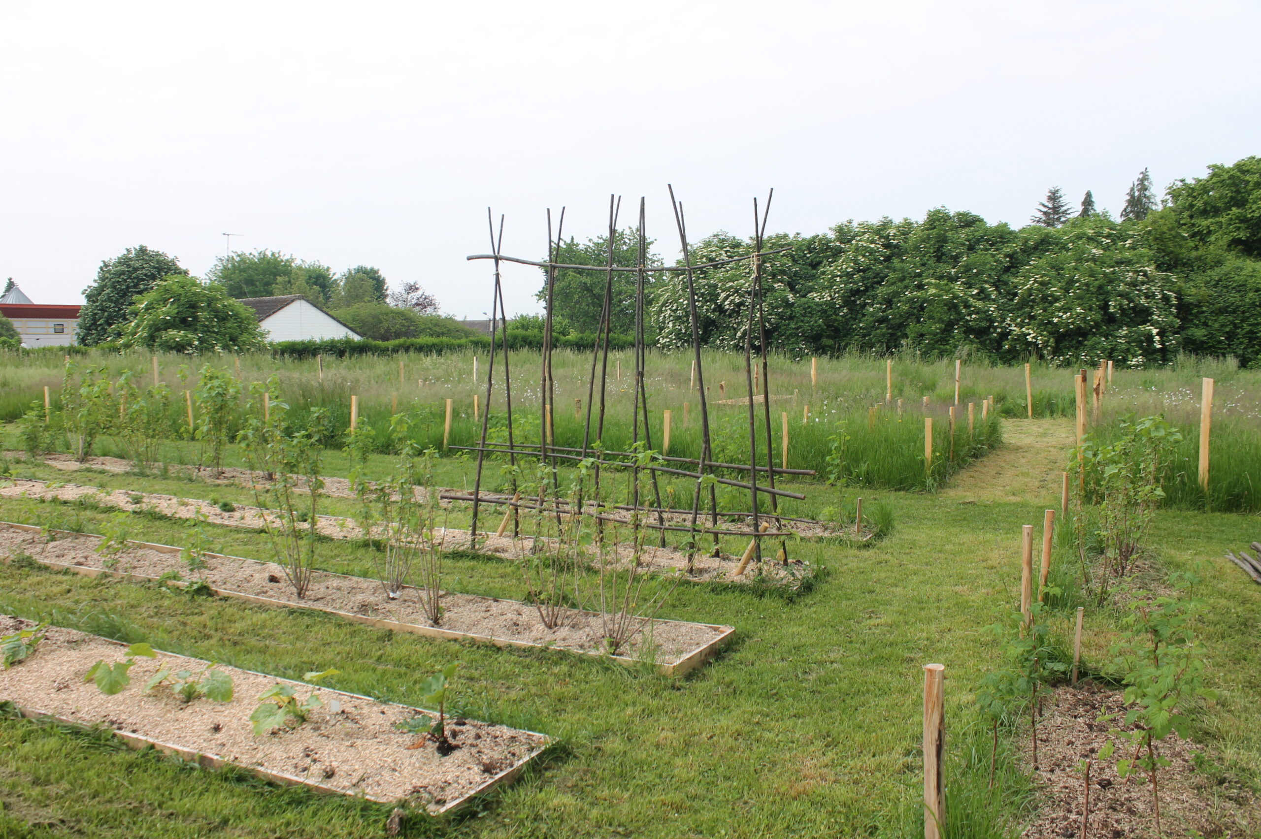 Vegetable gardens in High Schools – Chauny > Atelier de l’Ours, 2020 – 2021