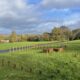 Jardin polonais, Calonne-Ricouart