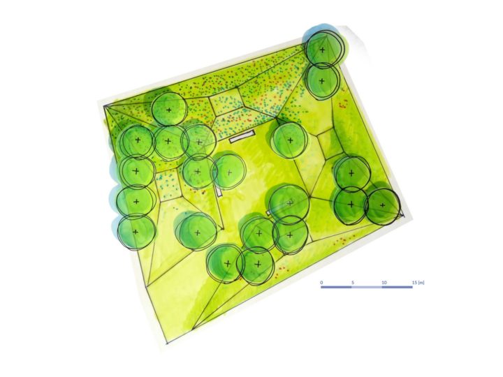 Jardin de la Paix polonais – « Le Jardin des bleuets », 2020