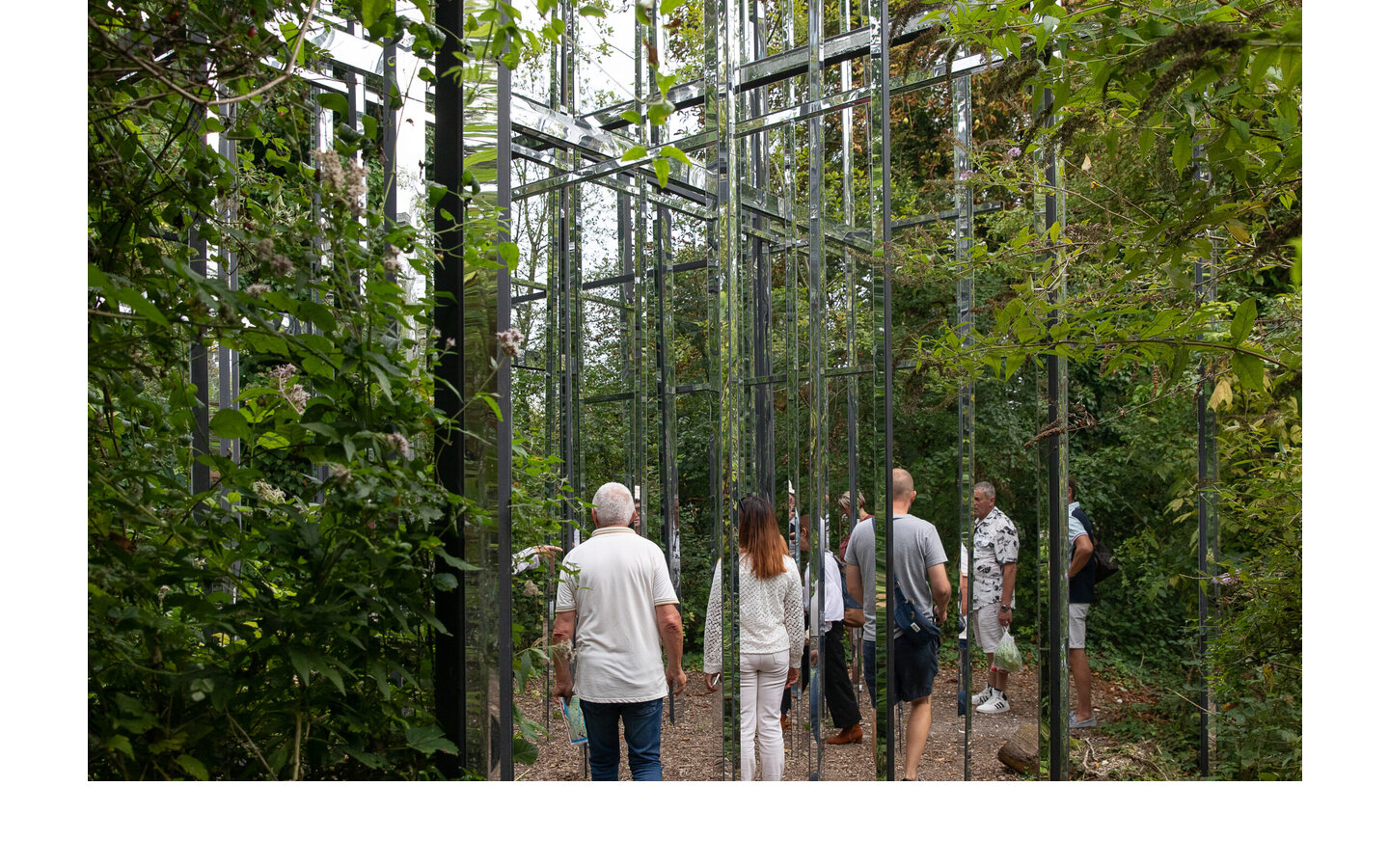 5 highschools, 5 vegetable gardens, 5 landscapers