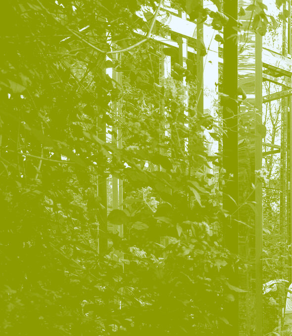 5 highschools, 5 vegetable gardens, 5 landscapers