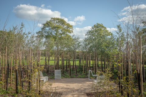 Jardin tchèque et slovaque - ©Yann Monel