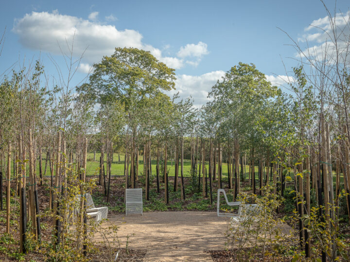 Jardin de la Paix tchécoslovaque – « Le Jardin du silence », 2021