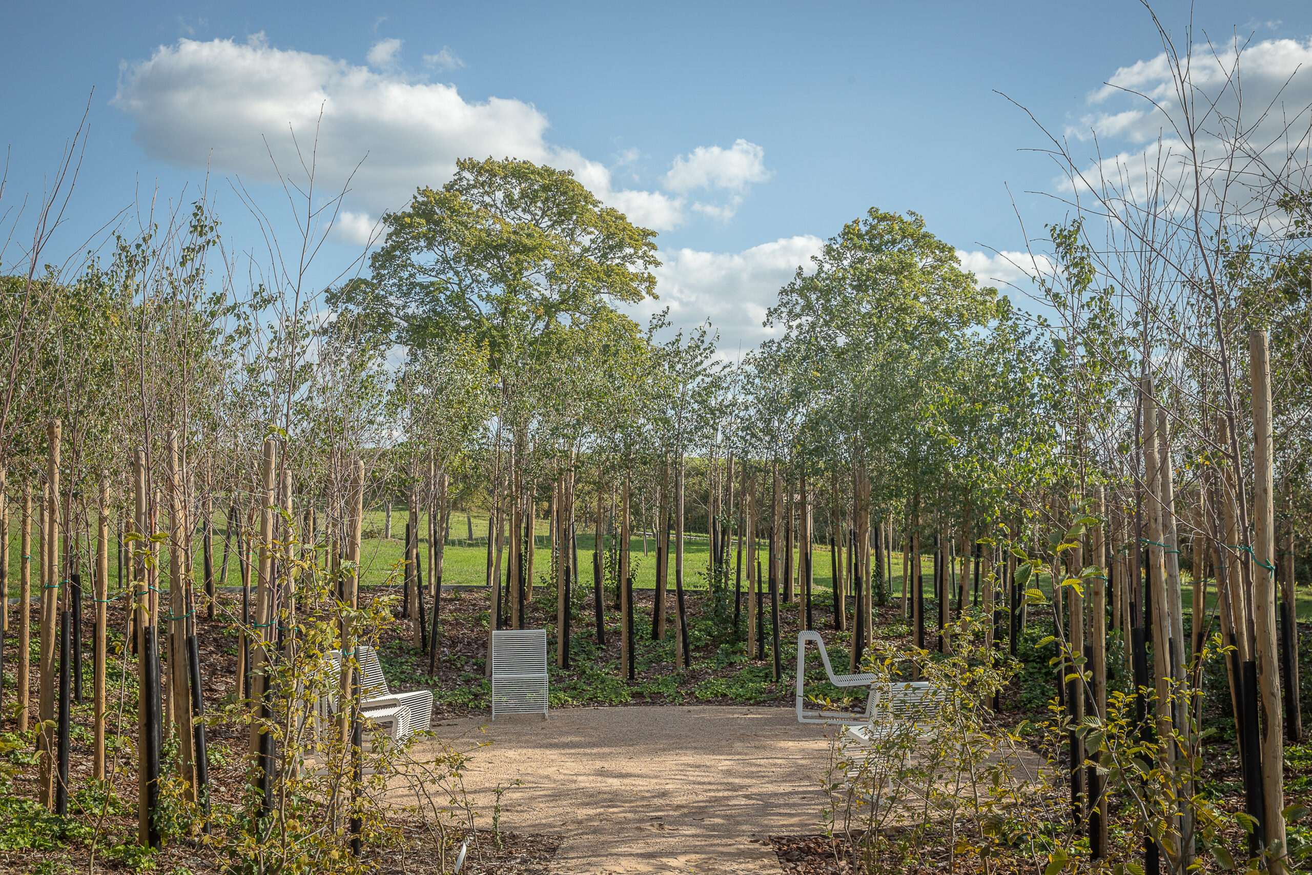 Le jardin du silence > Czechoslovak Garden of Peace, 2021