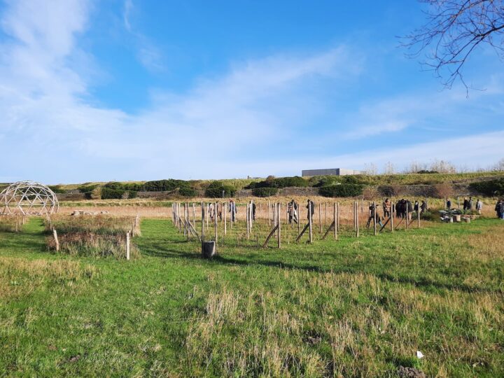 Potagers dans les lycées – Calais > Green Resistance, 2020 – 2021