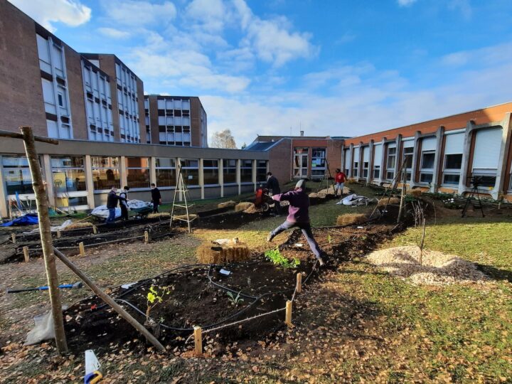 Potagers dans les lycées – Amiens > Vergers Urbains, Atelier l’Embellie, Epigénie, 2020 – 2021