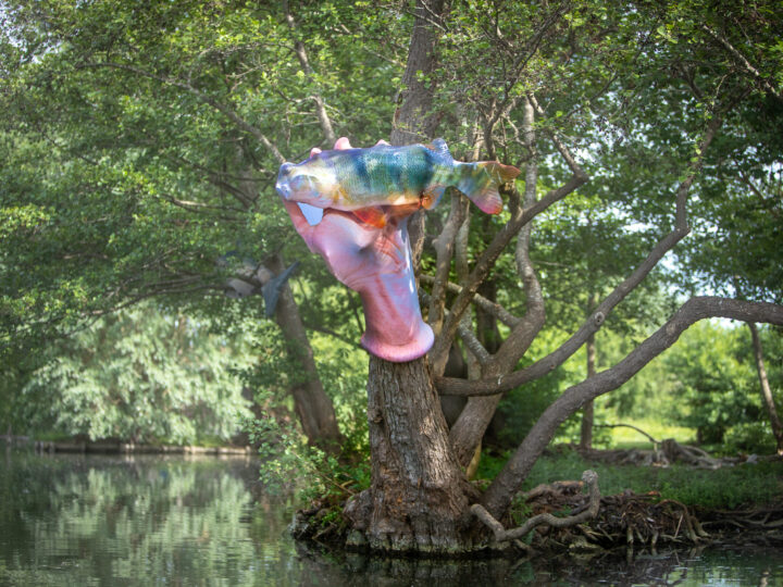 L’île aux housses – Collectif H3o, 2022 (2/2)