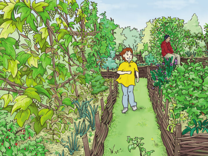 Hortus Labyrinthus – Emma Morillon, Baptiste Gérard-Hirne & Mathilde Rouch
