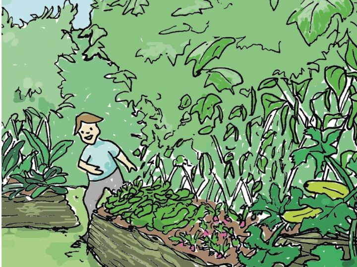 Hortus Labyrinthus – Emma Morillon, Baptiste Gérard-Hirne & Mathilde Rouch