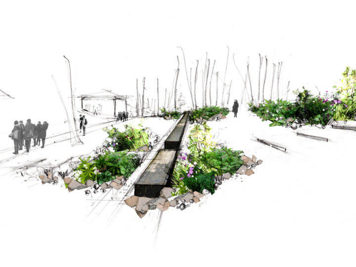 Jardin de la Paix franco-allemand – «Entre les lignes », 2025