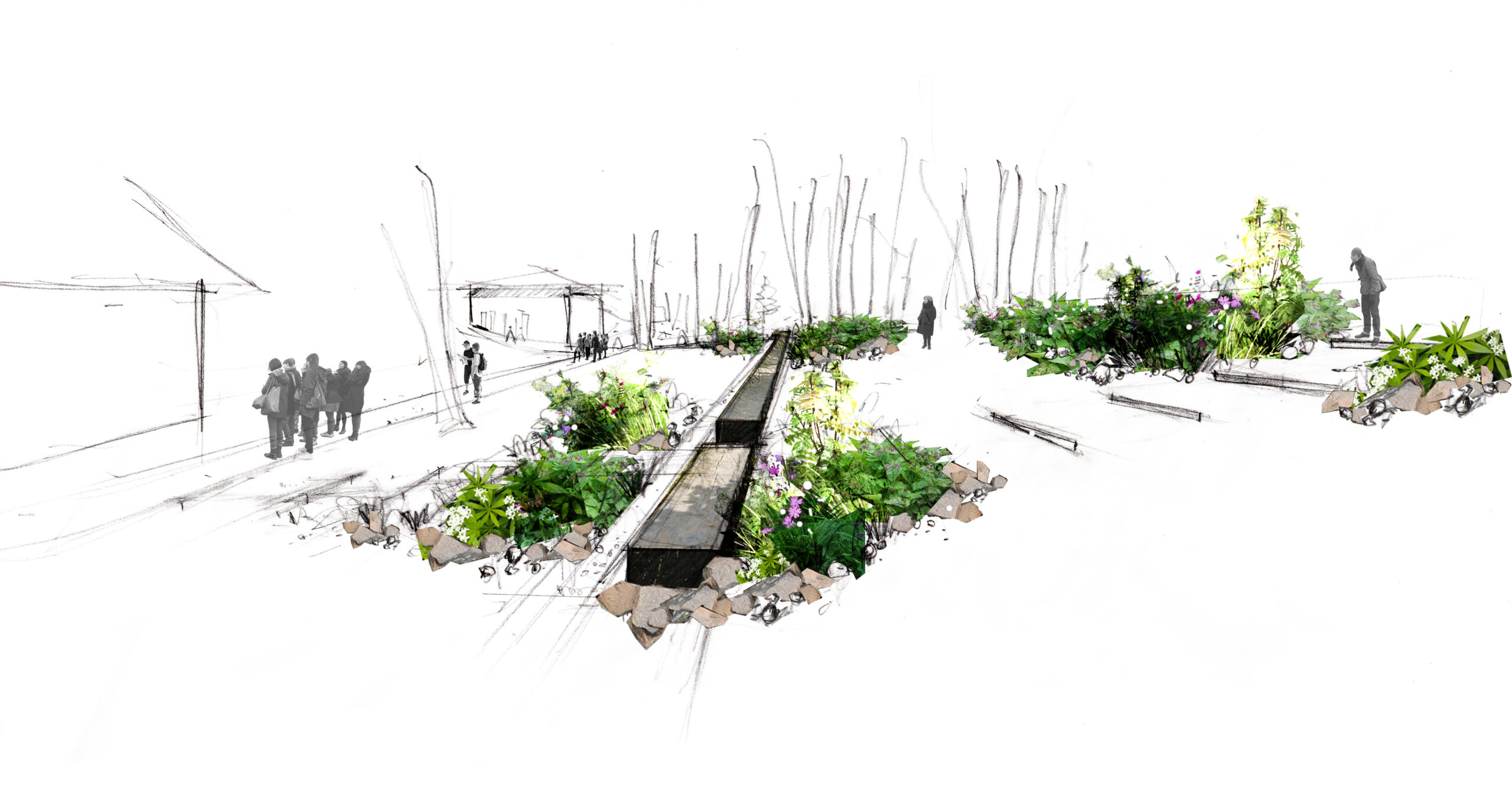 Franco-German Garden of Peace – “Entre les lignes”, 2025