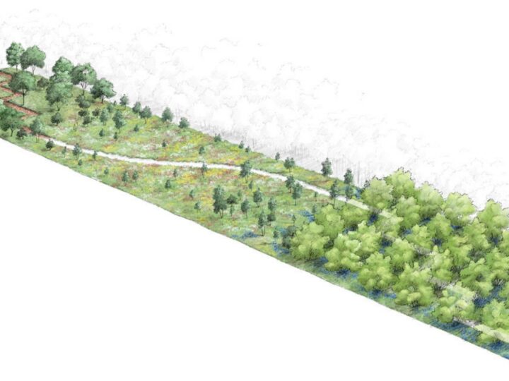 Jardin de la Paix britannique – « No man’s land », 2025