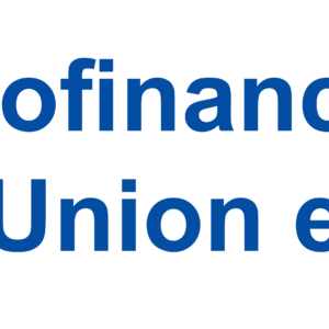 Logotype partenaire : (Français) Co-financé par l’UE